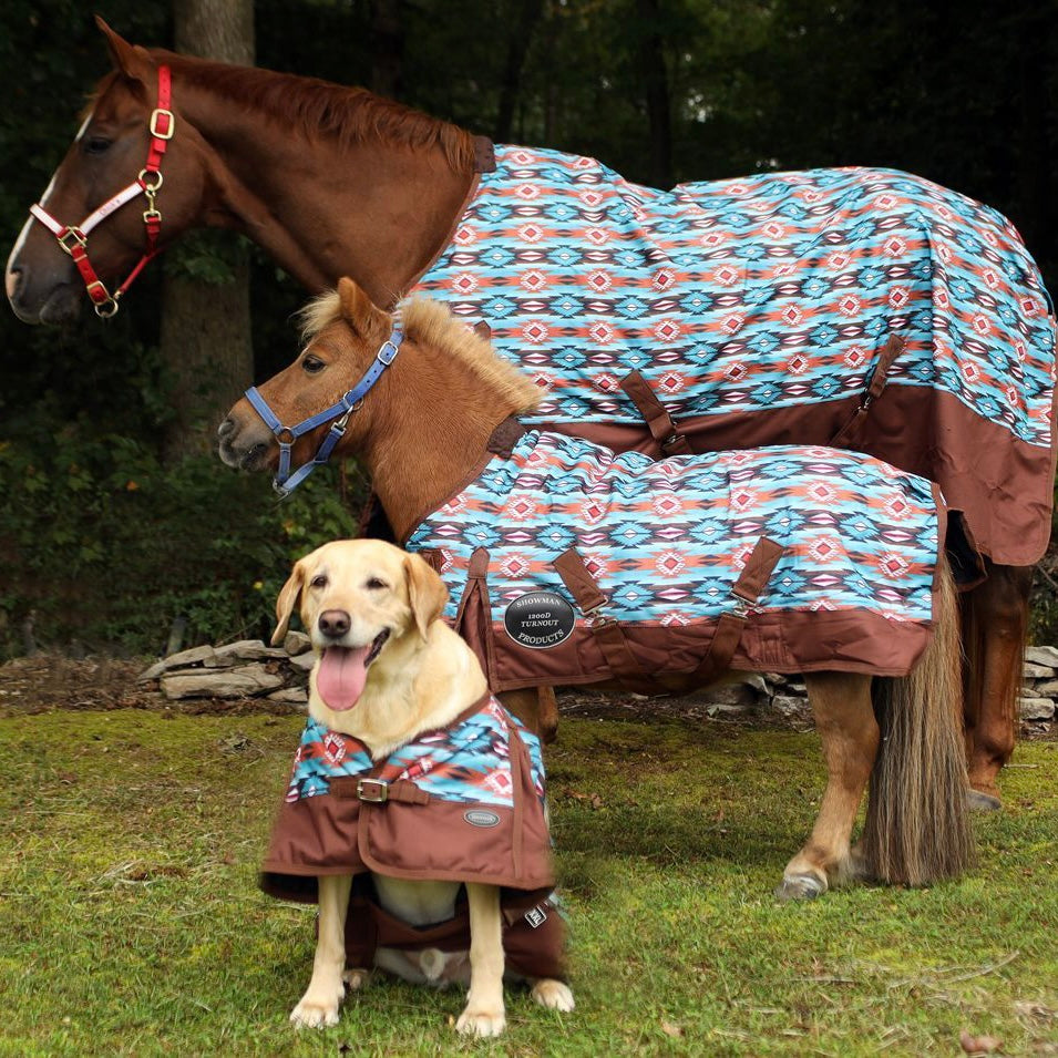 Showman® Orange and Turquoise Southwest Print 1200D Turnout Sheet