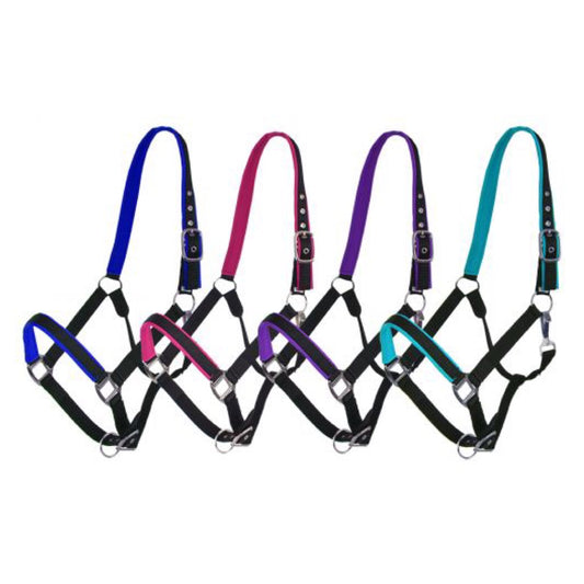Showman® Neoprene Lined Halter