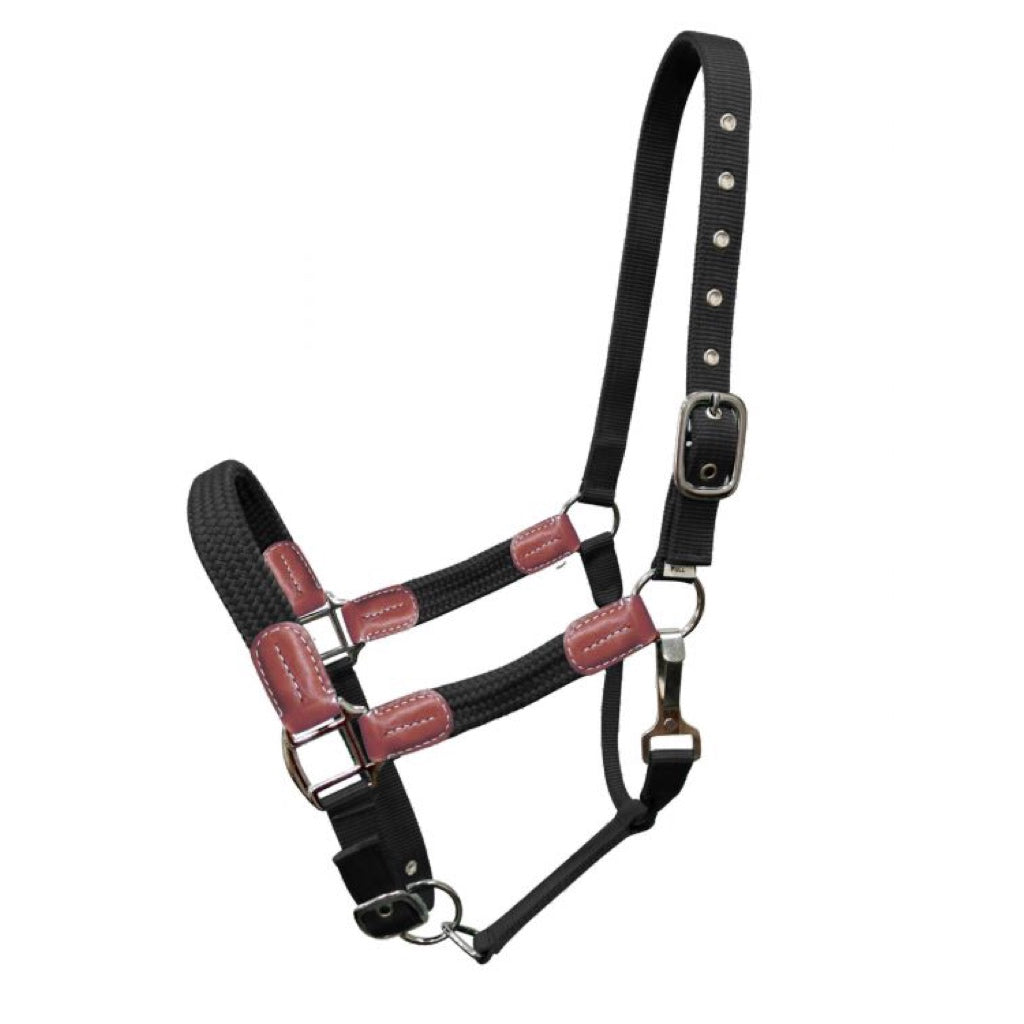 Showman® Nylon Halter with Leather Accents
