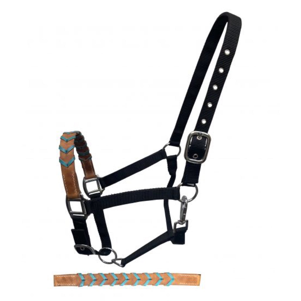 Showman® Black Nylon Adjustable Halter with Leather Laced Noseband