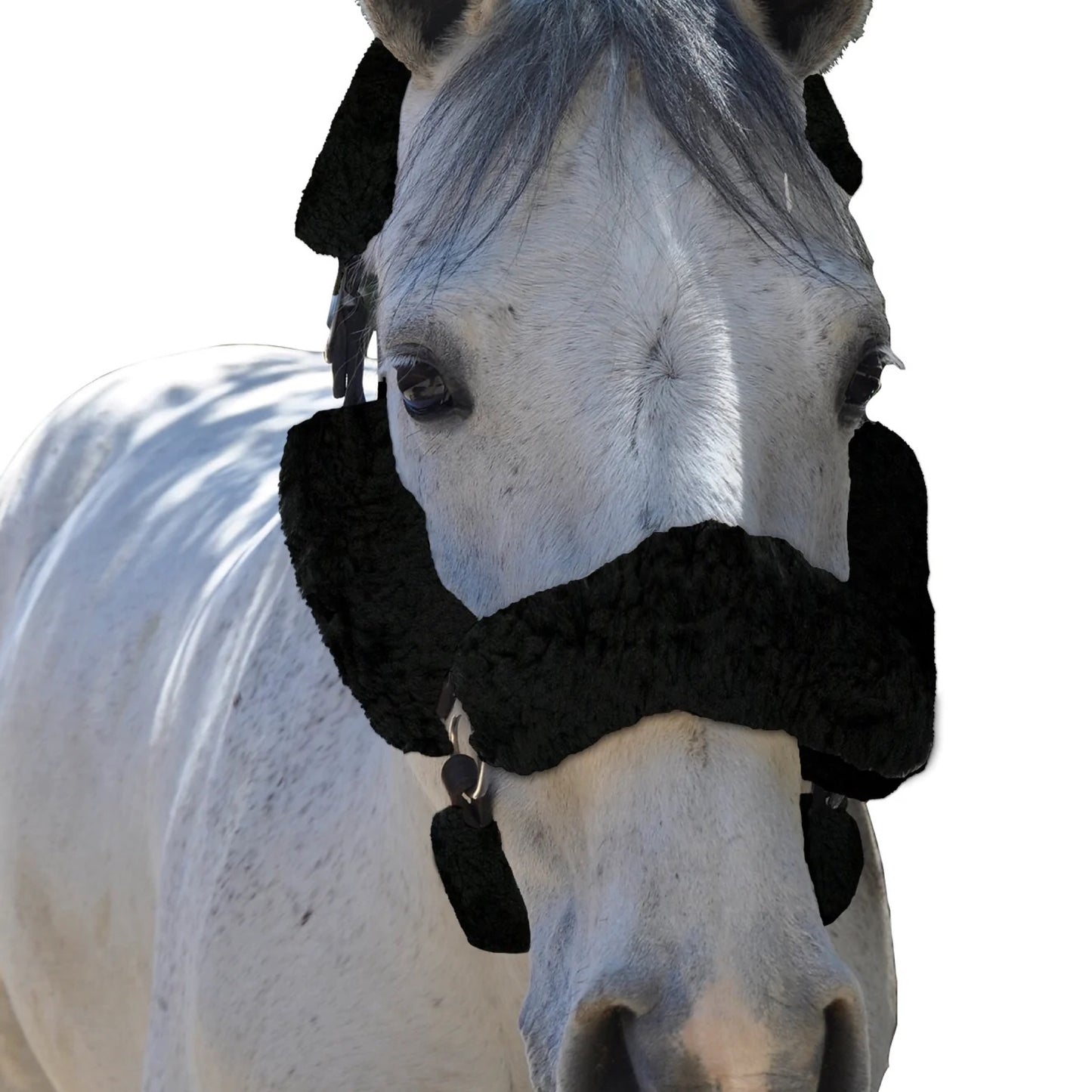 ECP 6 Piece Halter Sheepskin Set - Black