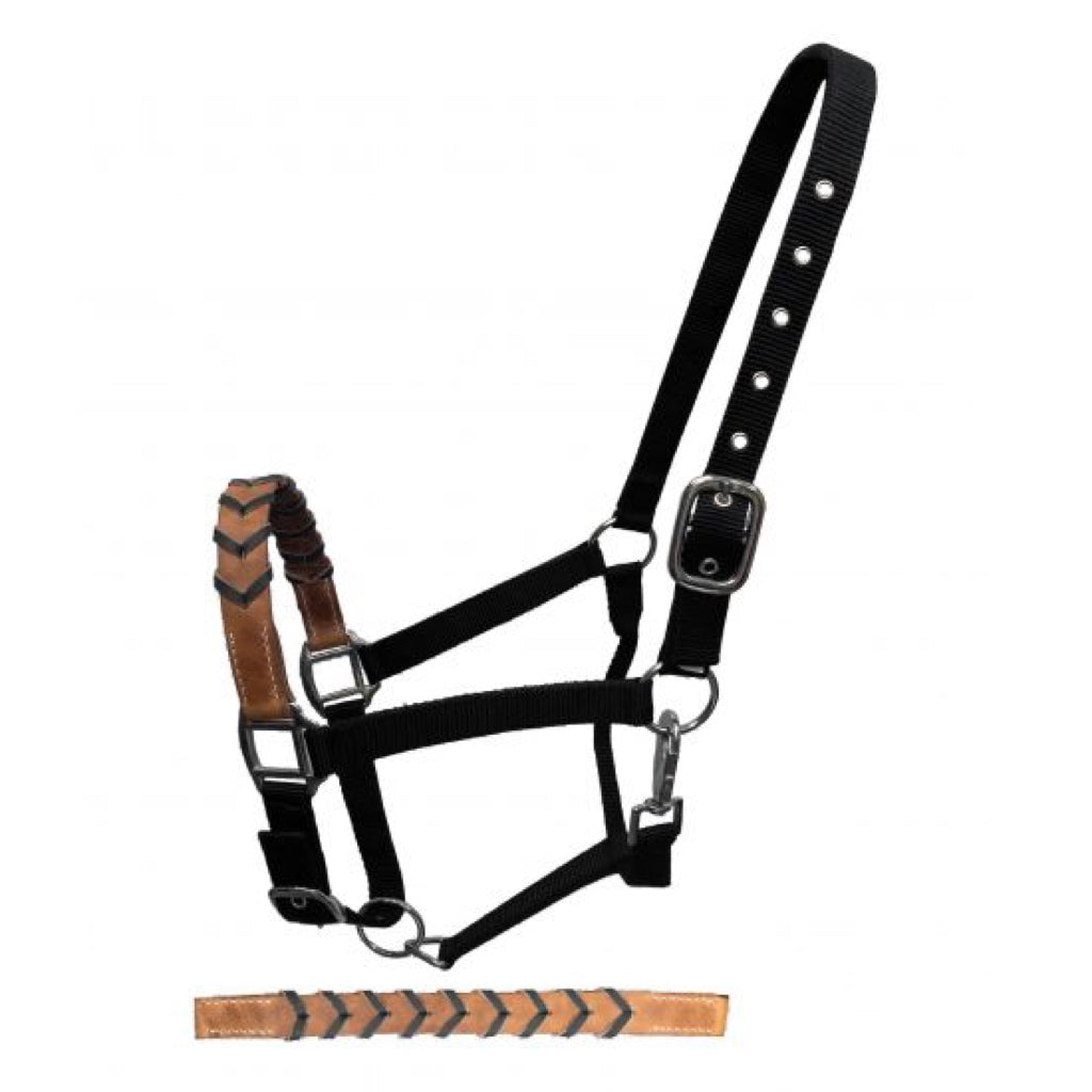 Showman® Black Nylon Adjustable Halter with Leather Laced Noseband