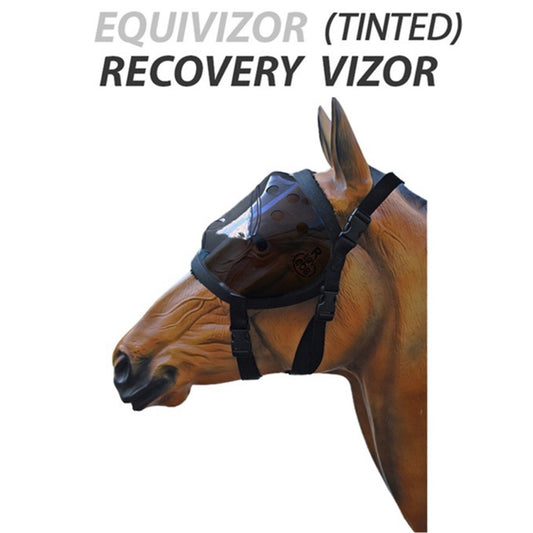 Equivizor™ Tinted Recovery Vizor