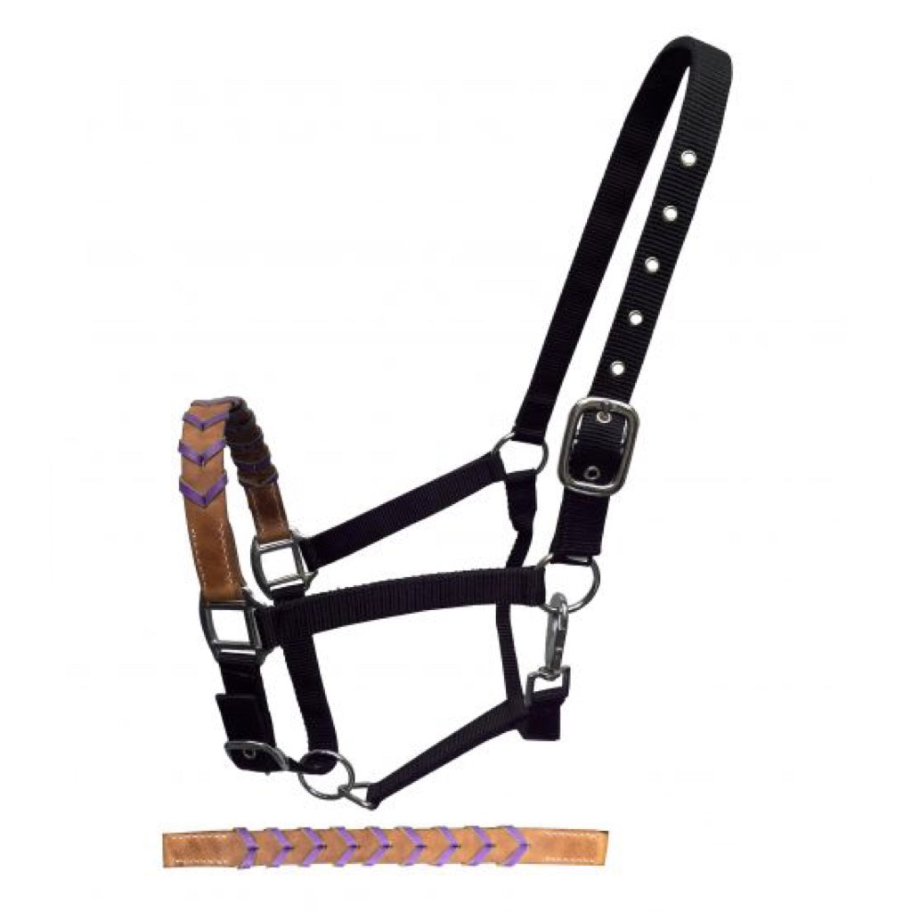 Showman® Black Nylon Adjustable Halter with Leather Laced Noseband