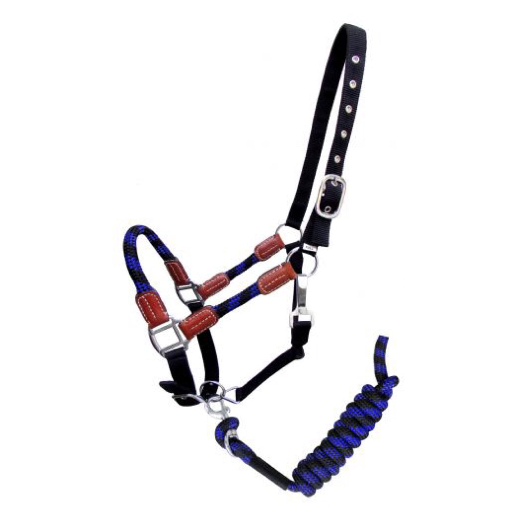 Showman® Nylon Halter and Matching Lead Rope with Leather Accents
