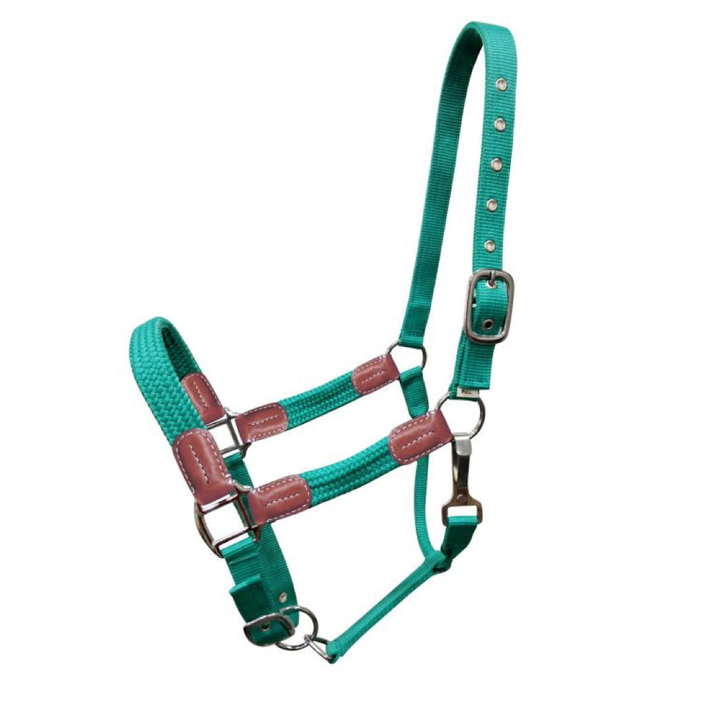 Showman® Nylon Halter with Leather Accents