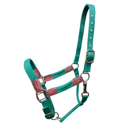 Showman® Nylon Halter with Leather Accents