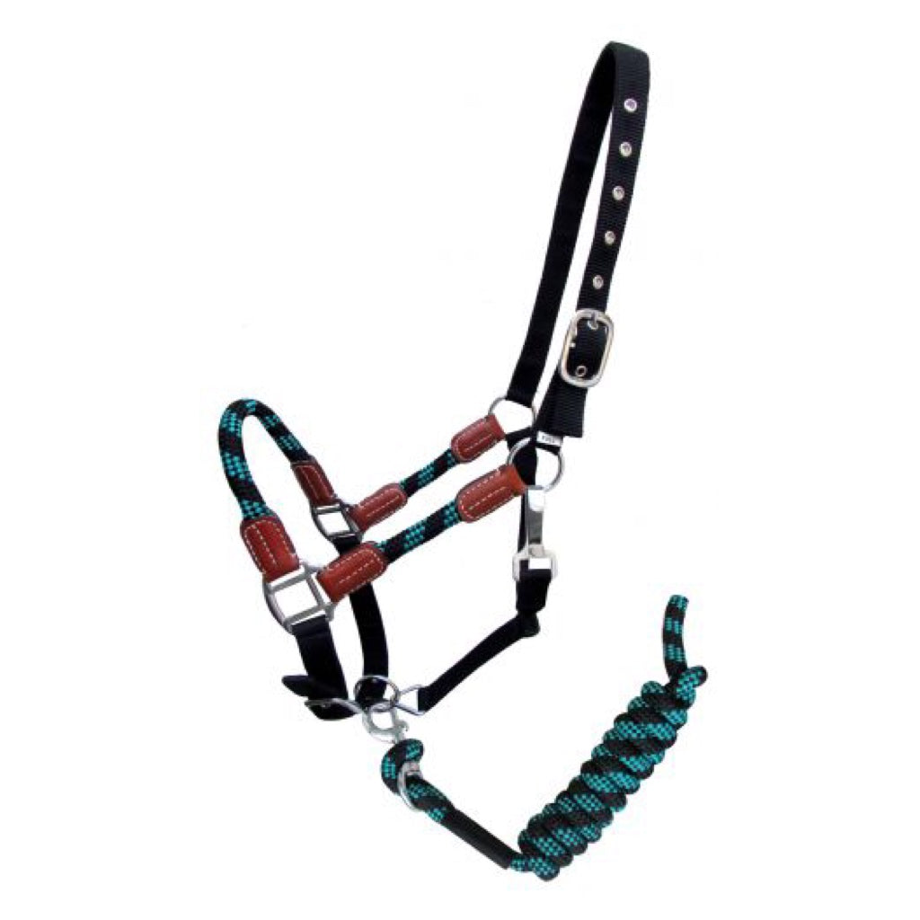 Showman® Nylon Halter and Matching Lead Rope with Leather Accents