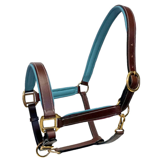 Cheval Equestrian Padded Leather Halter - Brown/Teal
