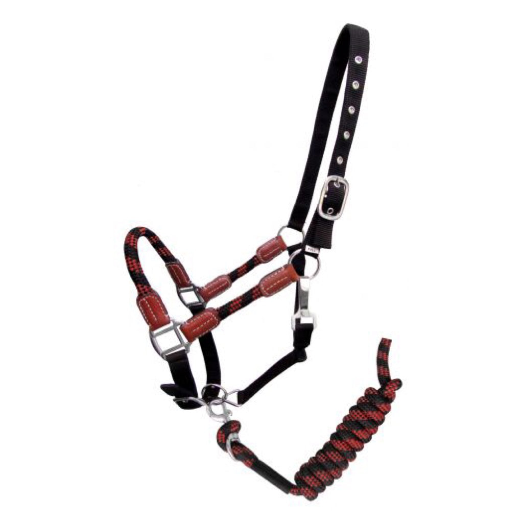 Showman® Nylon Halter and Matching Lead Rope with Leather Accents