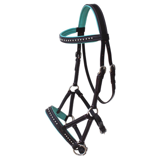 Professional Equine Studded Sidepull Bridle with Colored Padding - Brown/Teal
