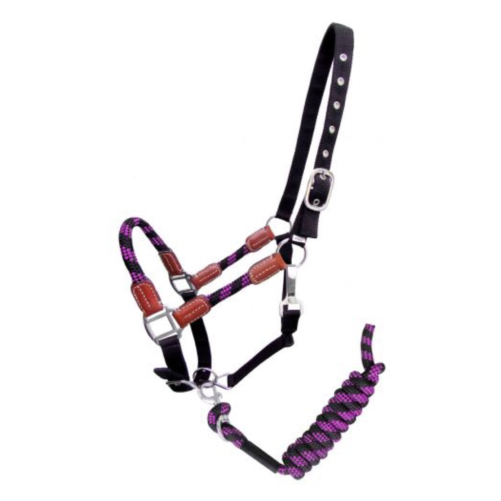 Showman® Nylon Halter and Matching Lead Rope with Leather Accents