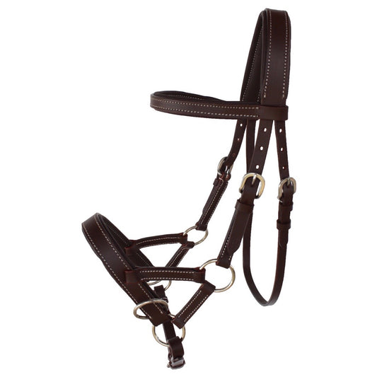 Professional Equine Sidepull Bridle - Brown (Cob)