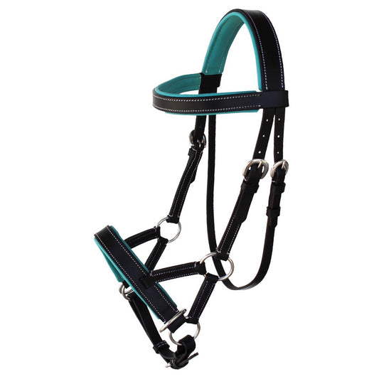 Professional Equine Sidepull Bridle with Colored Padding - Black/Teal