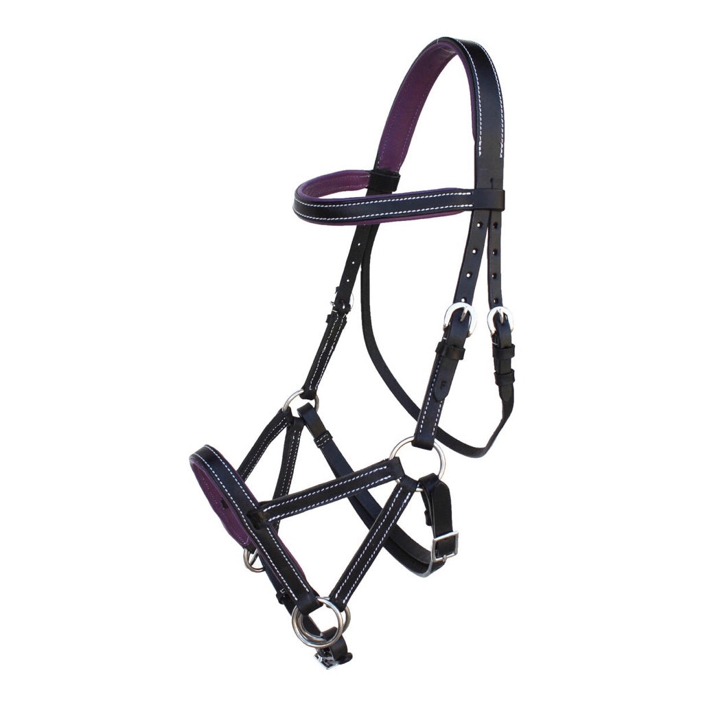 Professional Equine Sidepull Bridle with Colored Padding - Black/Purple