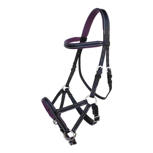 Professional Equine Sidepull Bridle with Colored Padding - Black/Purple
