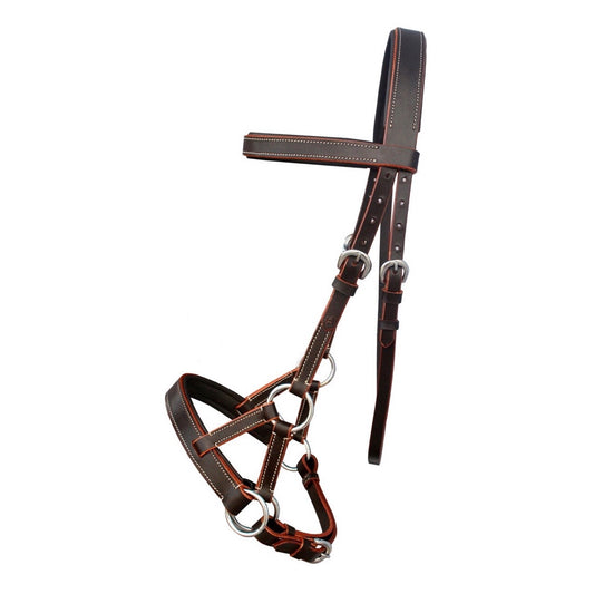Professional Equine Sidepull Bridle - Brown