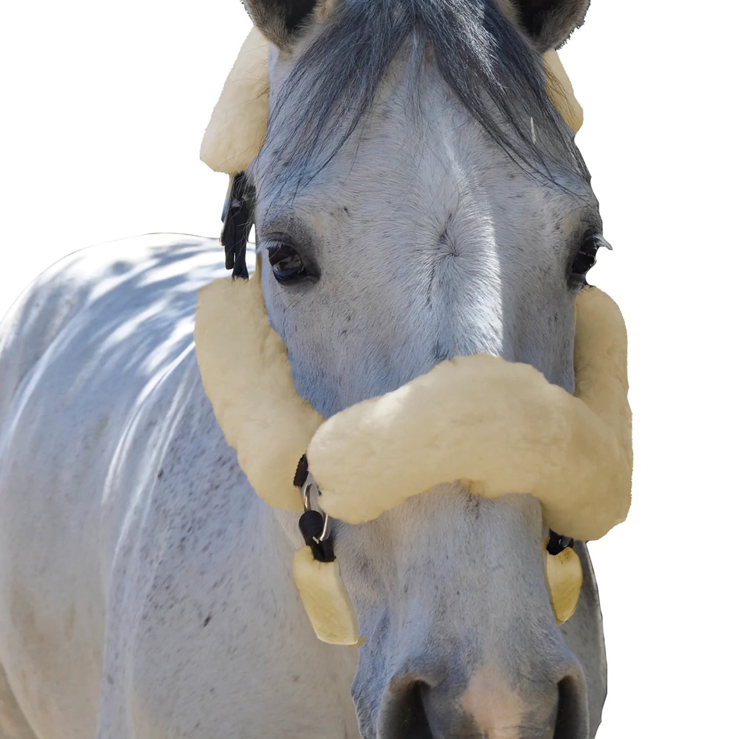 ECP 6 Piece Halter Sheepskin Set - Cream