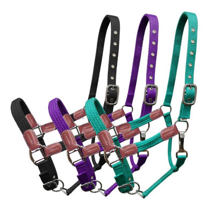 Showman® Nylon Halter with Leather Accents