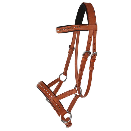 Professional Equine Studded Sidepull Bridle - Tan