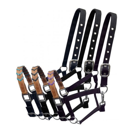 Showman® Black Nylon Adjustable Halter with Leather Laced Noseband