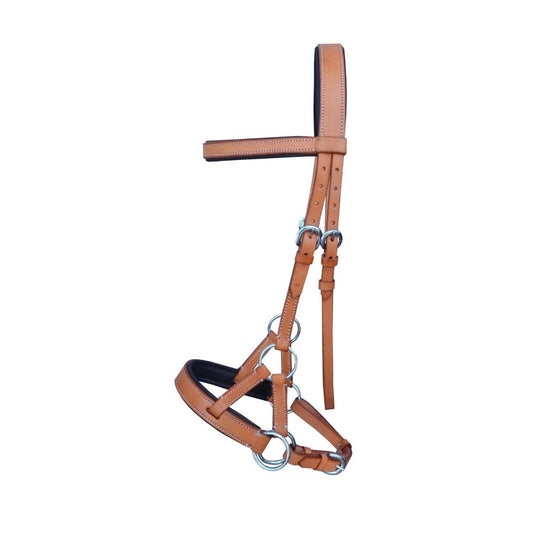 Professional Equine Sidepull Bridle with Colored Padding - Tan/Black