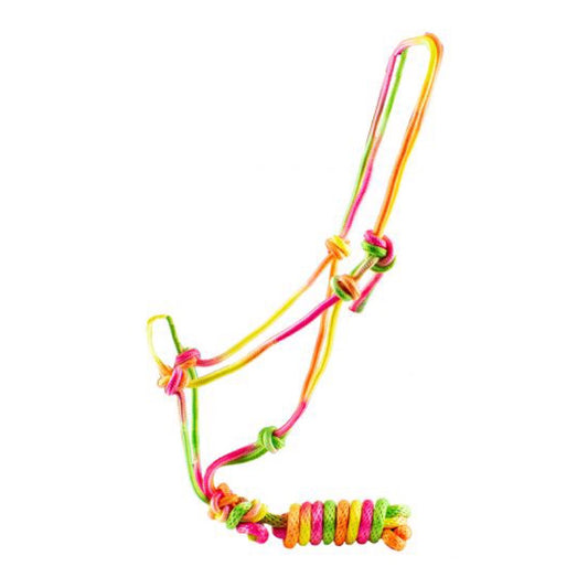 Showman® Rainbow Colored Knotted Cowboy Rope Halter with Matching Lead