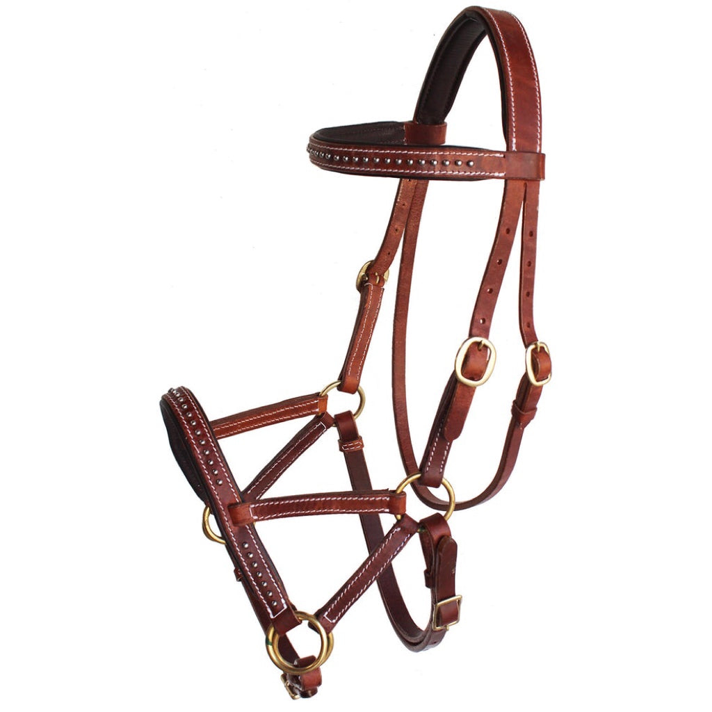 Professional Equine Studded Sidepull Bridle - Light Brown