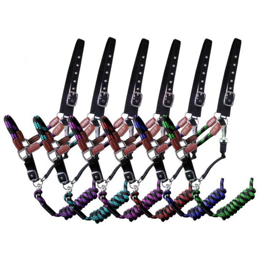 Showman® Nylon Halter and Matching Lead Rope with Leather Accents