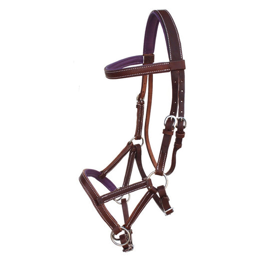 Professional Equine Sidepull Bridle with Colored Padding - Brown/Purple