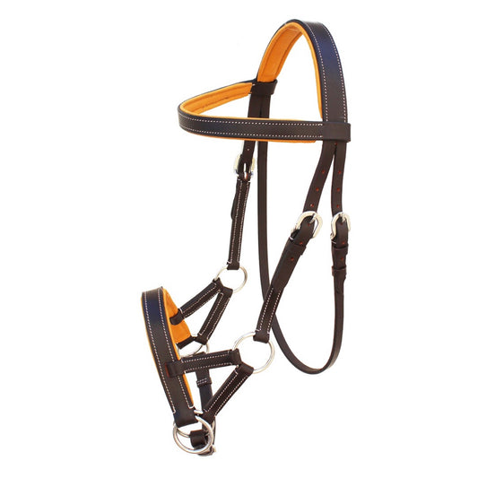 Professional Equine Sidepull Bridle with Colored Padding - Brown/Gold