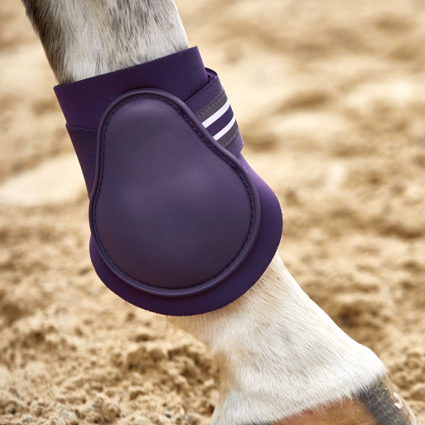 Horze Adepto Fetlock Boots - Blackcurrant Purple
