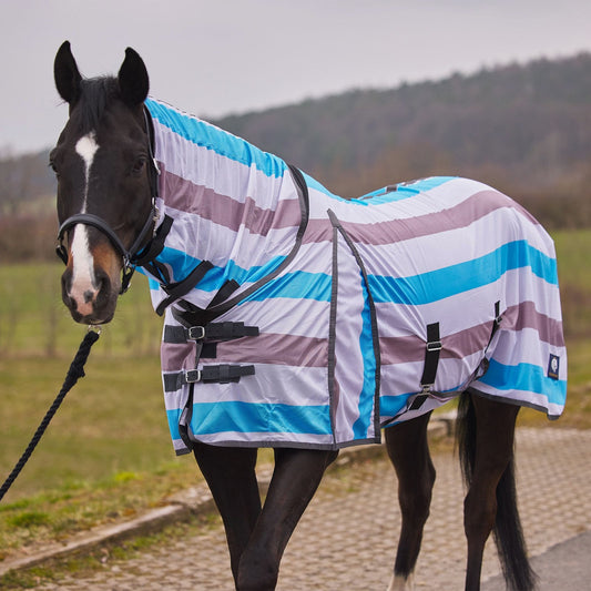 Combo Neck Fly Sheet with Belly Wrap - Blue Striped