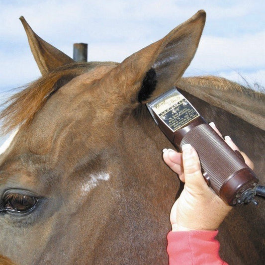 ECP Sheepskin Ear Plugs