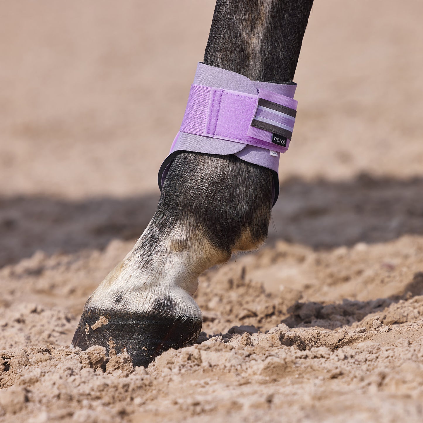 Horze Adepto Fetlock Boots - Languid Lavender Purple