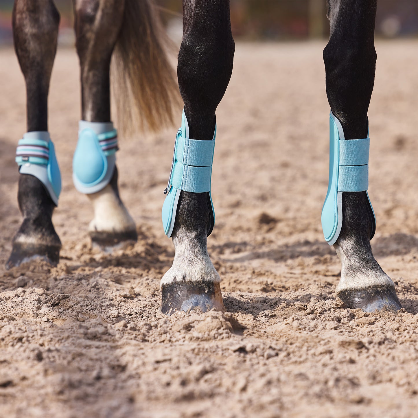 Horze Adepto Tendon Boots - Canal Blue
