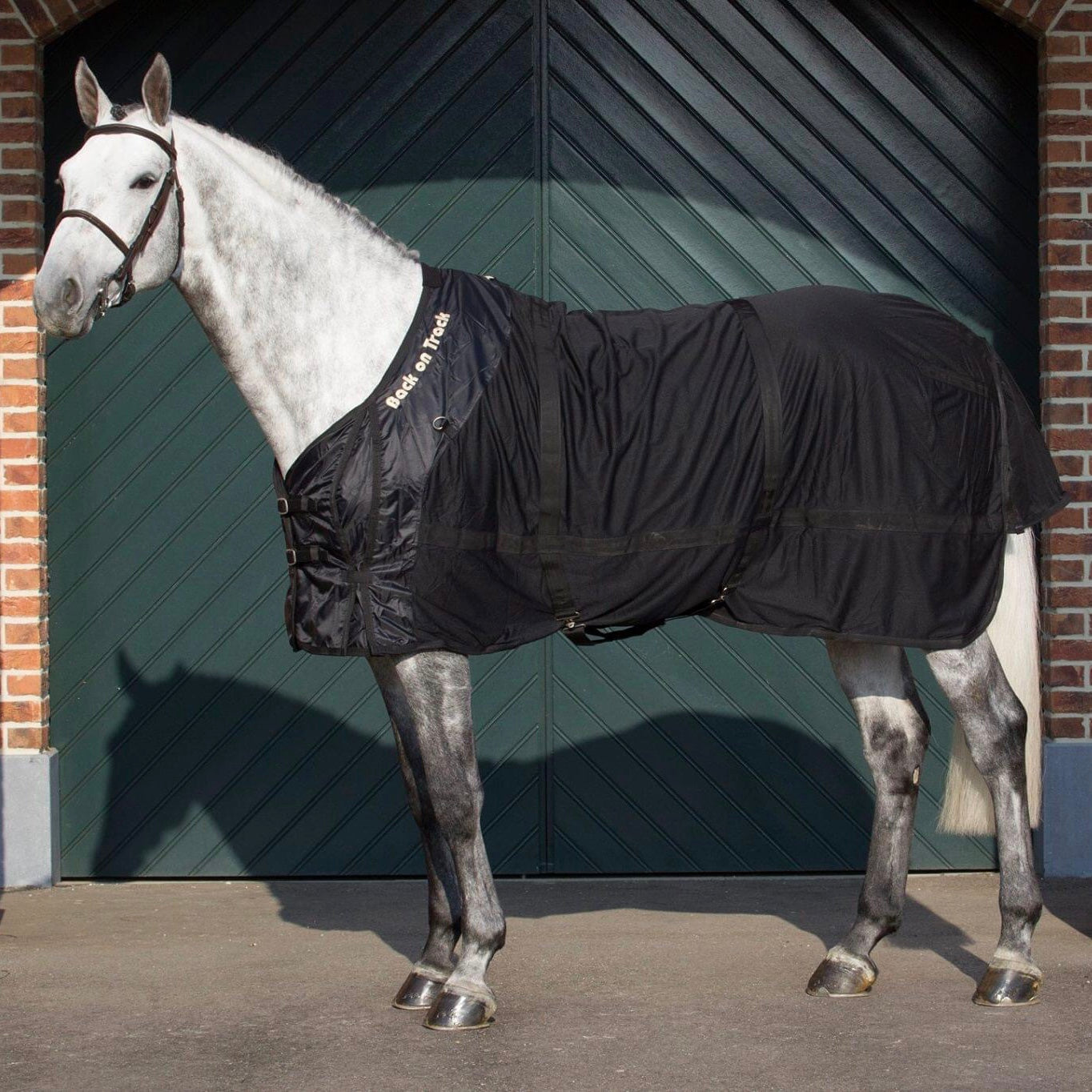 Back on Track Therapeutic Mesh Sheet (69")