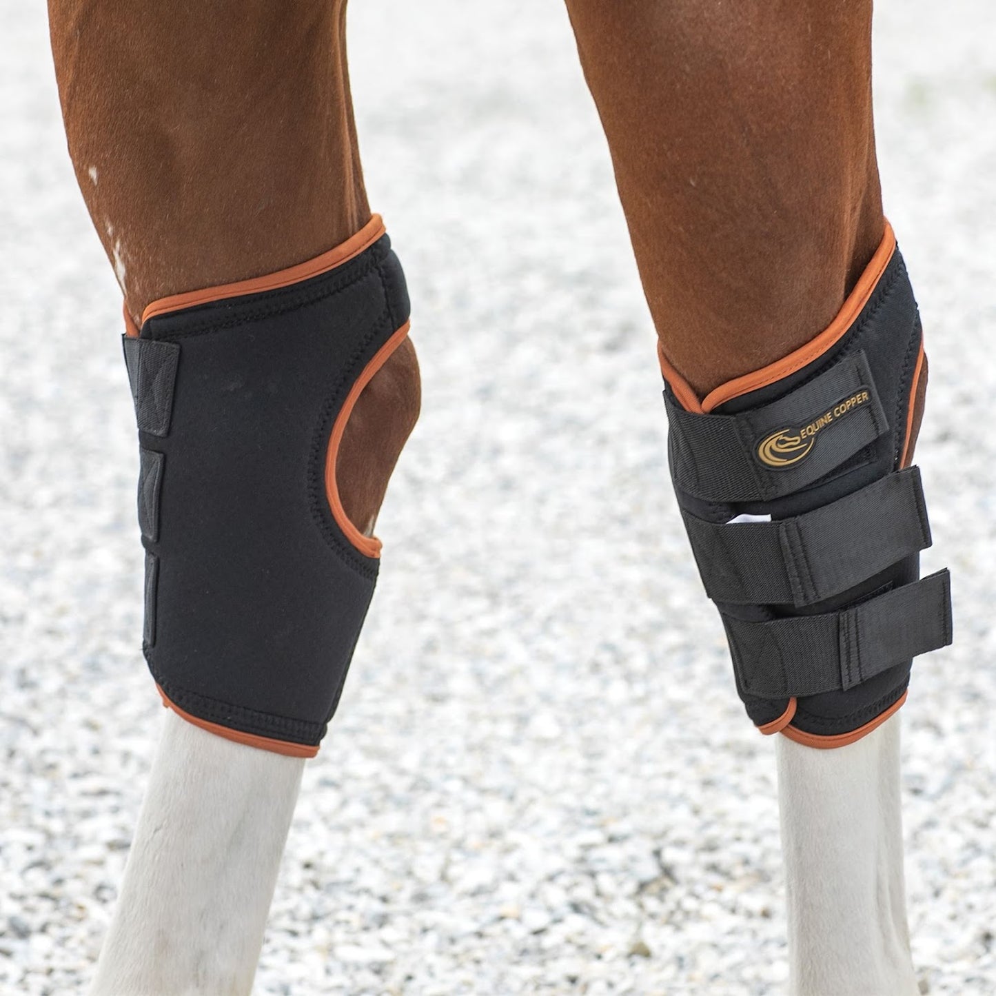 Equine Copper Hock Wraps