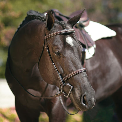 Pinnacle Padded Fancy Stitched Bridle - Havana