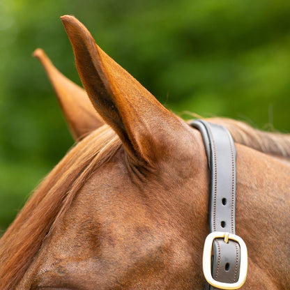 Joseph Sterling® Dorchester Padded Leather Halter