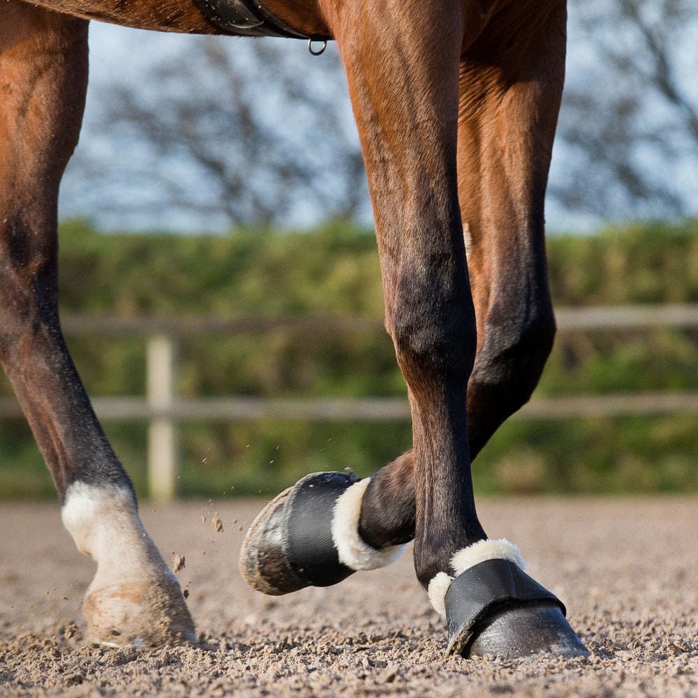 Horze Signature Bell Boots - Black