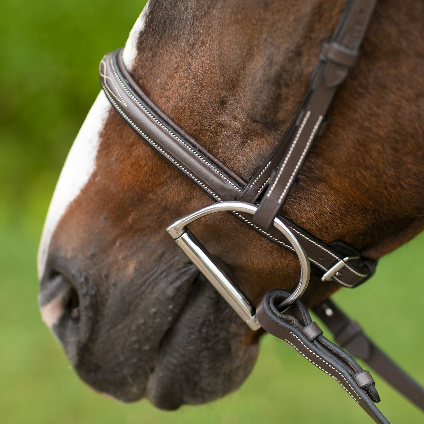Pinnacle Comfort Plus® Hunter Bridle