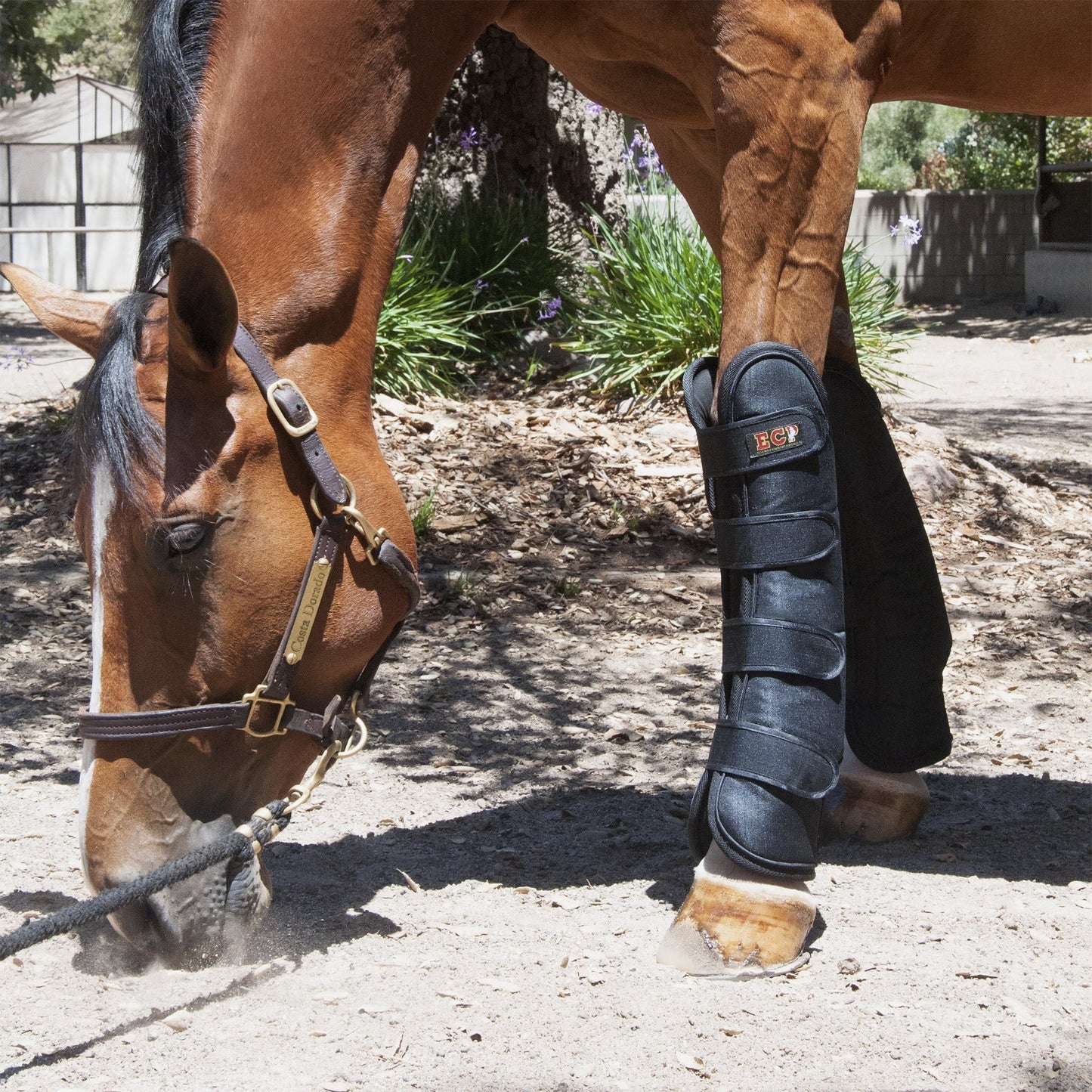 ECP Far Infared Therapeutic Leg Wraps