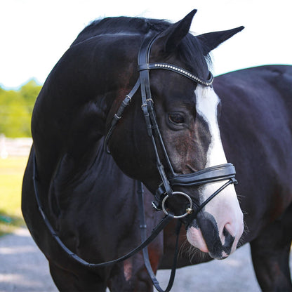 Joseph Sterling® Anatomic Snaffle Monocrown Dressage Bridle with Flash