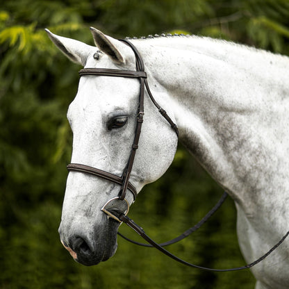 Premier Comfort Plus® Padded Fancy Stitch Hunter Bridle