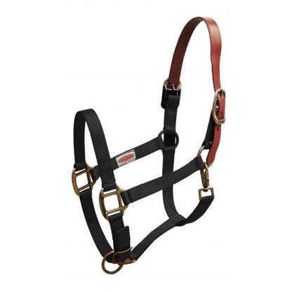 Showman® Premium Nylon Breakaway Halter