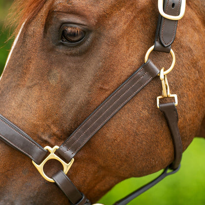 Joseph Sterling® Dorchester Padded Leather Halter