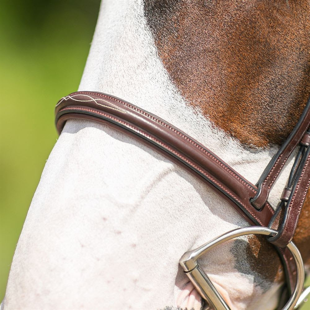 Joseph Sterling® Pro Series Hunter Classic Bridle