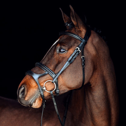 Horze Perth Soft Lined Anatomical Bridle - Black