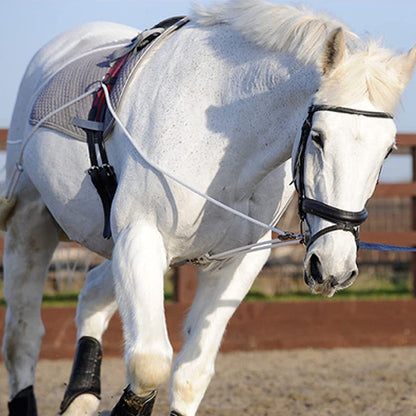 Pessoa Inspired Lunging System